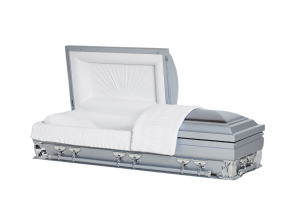 Gemini Series Silver