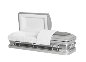 Orion Series Silver