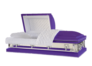 Ascendant Series Purple and Silver